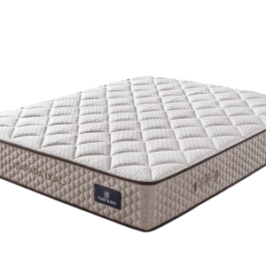 Sahara Dual