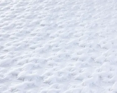 1_b2ff7deb-e828-4f06-8c39-310afe09b6bd